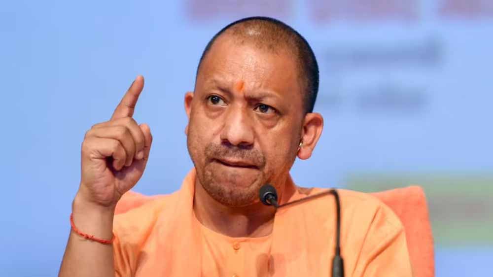 Yogi 03 20.jpg