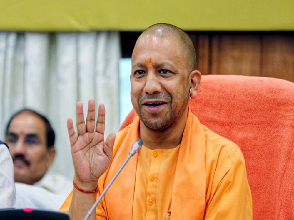 Yogi 05 1.jpg