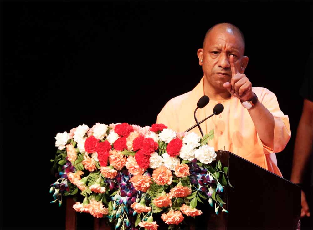 Yogi 06 4.jpg
