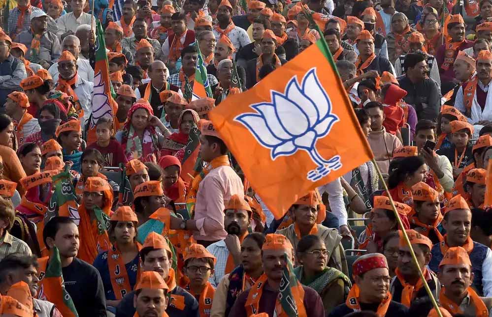 Bjp53 2.jpg