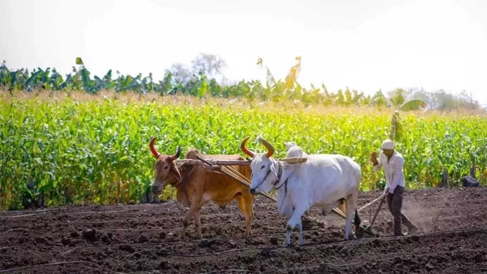 KISAN 01 3.jpg