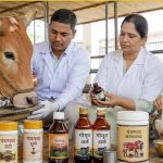 गो संरक्षण विशेष : यूपी की पंचगव्य थेरेपी देगी भारतीय चिकित्सा पद्धति को नई दिशा