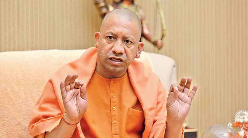 Yogi 01 12.jpg