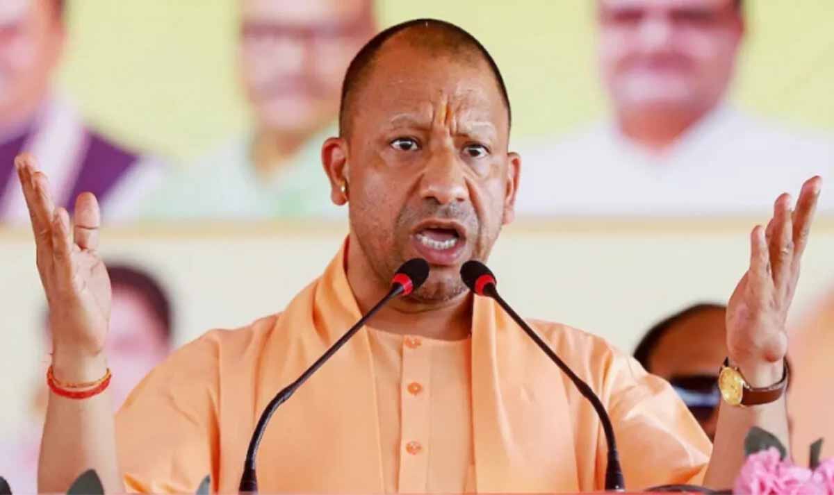 Yogi 11.jpg