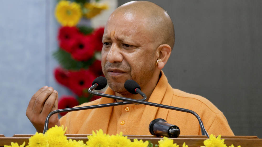 Yogi 133 3 3.jpg