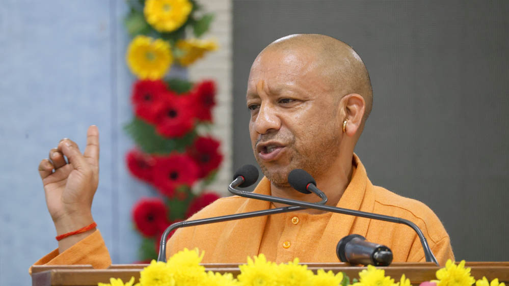 Yogi 133 5 1.jpg