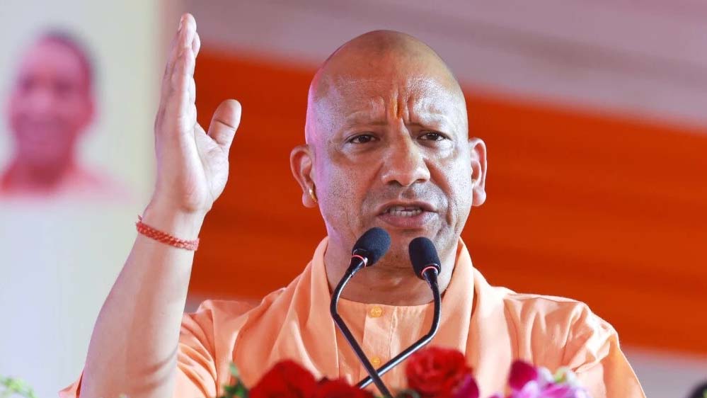 Yogi 31 2 1.jpg