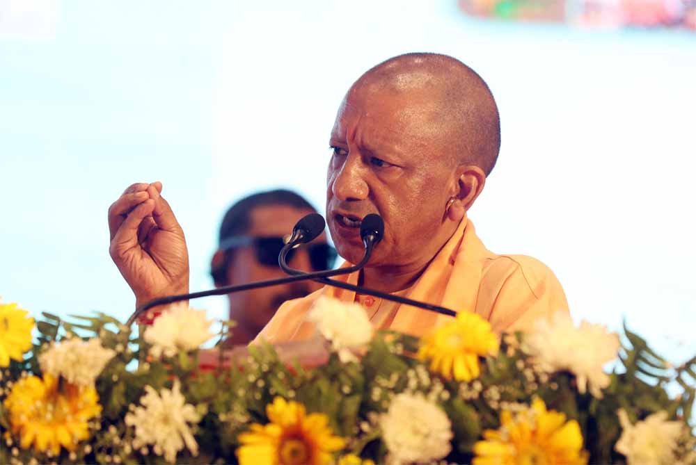 Yogi 5765797 3.jpg
