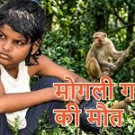 बंदरों के बीच मिली बच्ची की दर्दनाक कहानी का अंत, नहीं रहीं एहसास