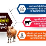 डेनिश डेयरी टेक्नोलॉजी से देसी गायों के दूध के उत्पाद बना यूपी बना देश का ‘धुरंधर’