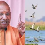 योगी सरकार के प्रयासों से उत्तर प्रदेश में तेजी से हो रहा आर्द्रभूमियों का संरक्षण
