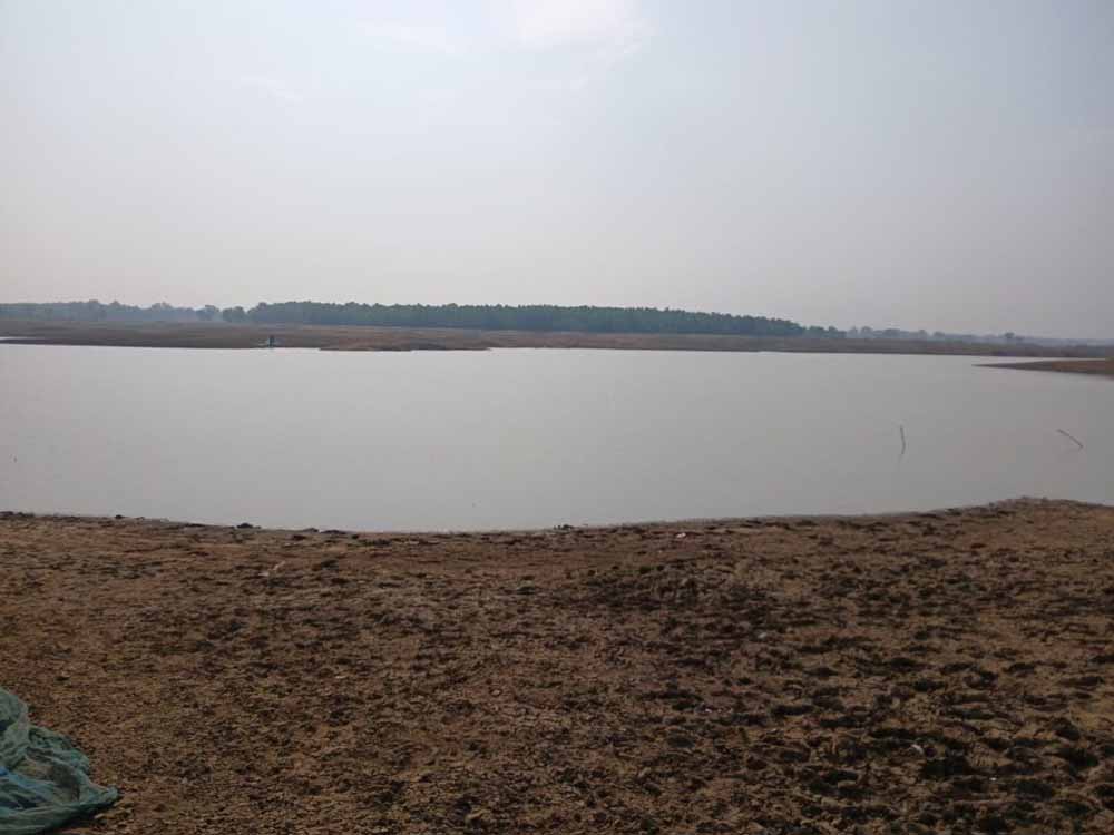 Chhattisgarh News 02 1 19.jpg