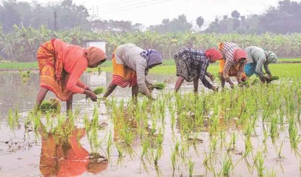 Chhattisgarh News 04 1 4.jpg