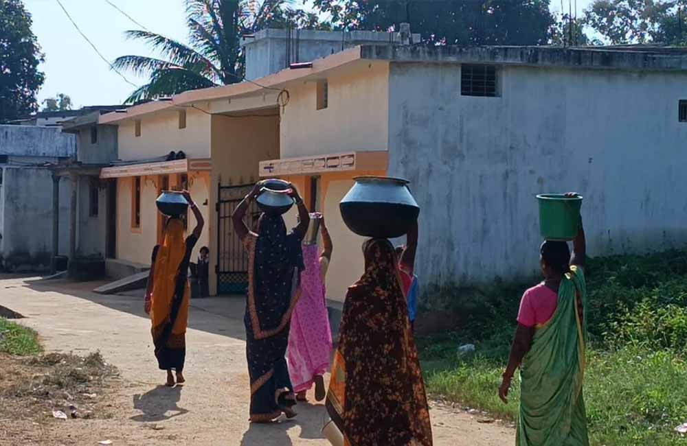 Chhattisgarh News 06 1 5.jpg