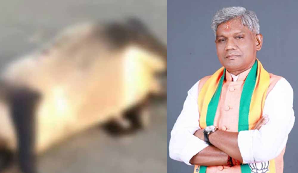 Chhattisgarh News 07 3 12.jpg