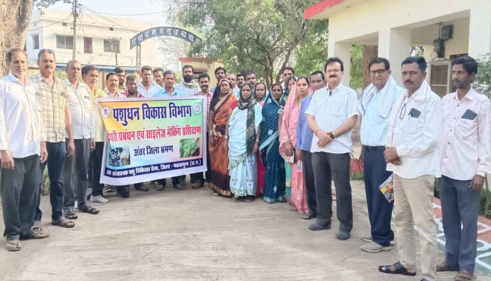 Chhattisgarh News 08 1 4.jpg