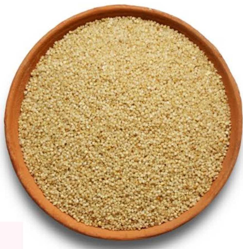 Dhan 02 2.jpg