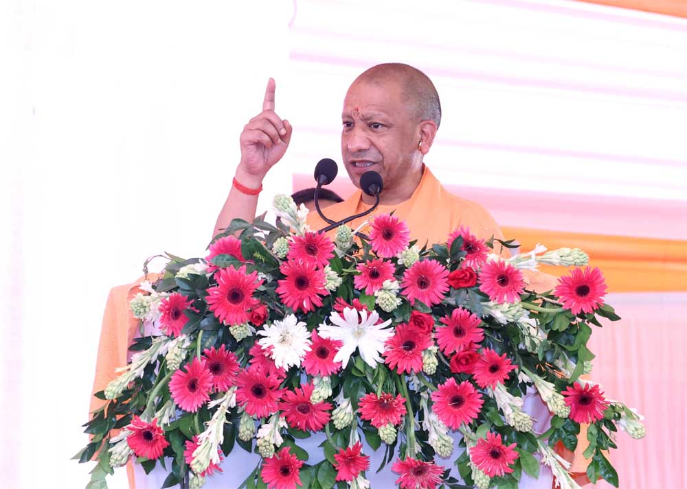 Yogi 03 15.jpg