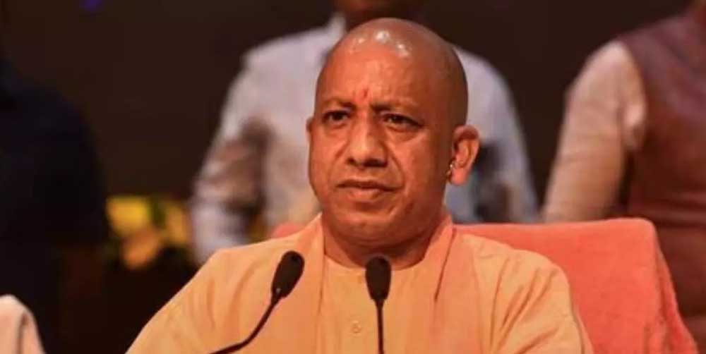 Yogi 03 3.jpg