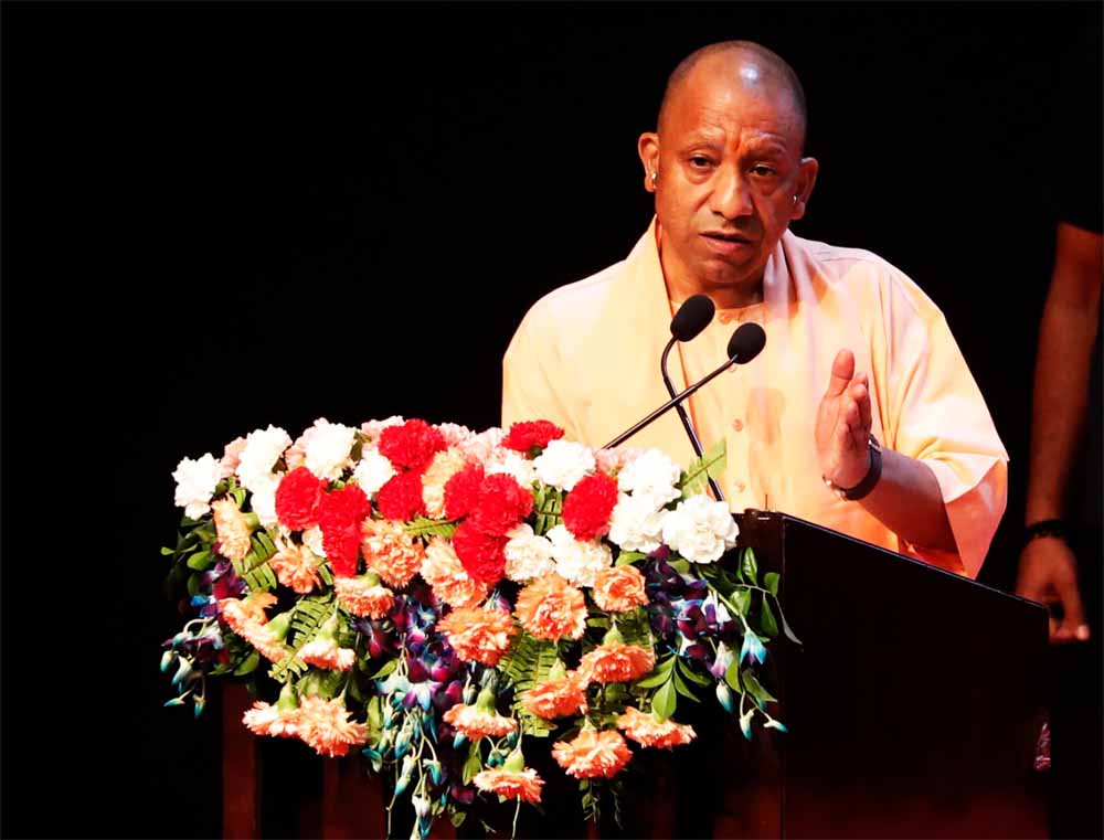 Yogi 11 2.jpg