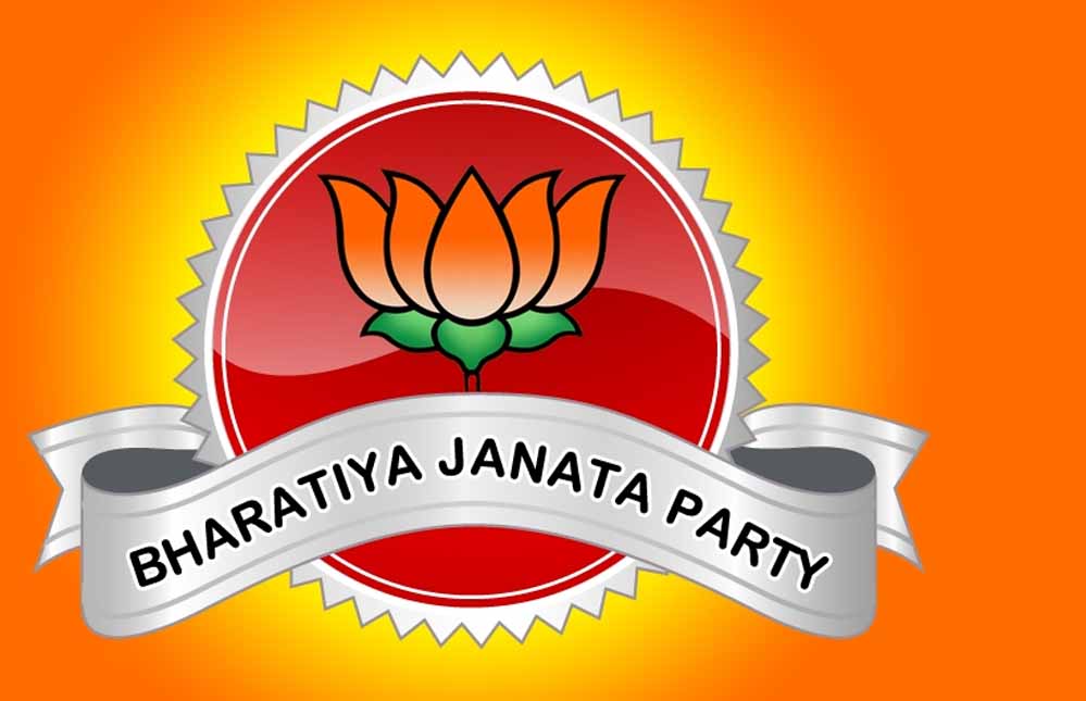 Bjp53 1.jpg