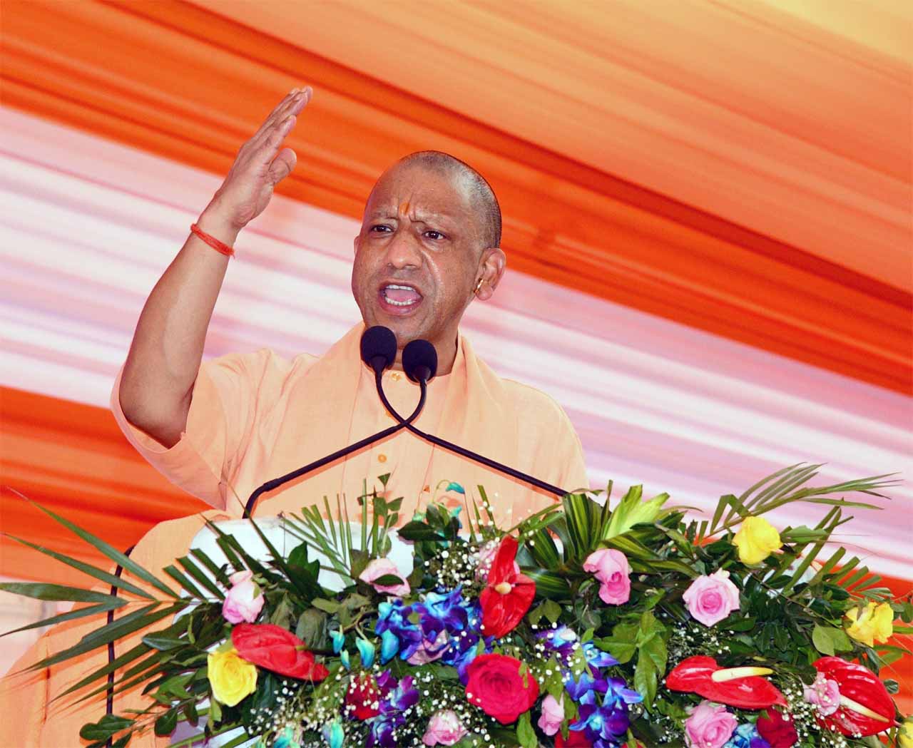 Cm yogi 24.jpg