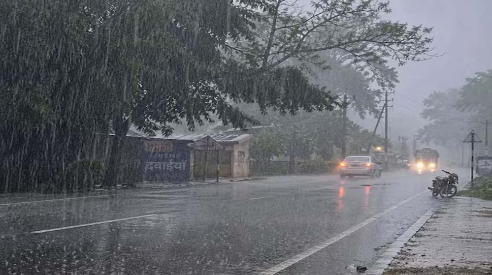 Rain 116 2 3.jpg
