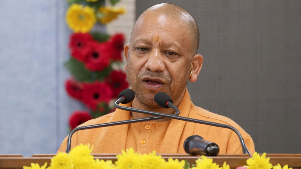 Yogi 133 1 2.jpg