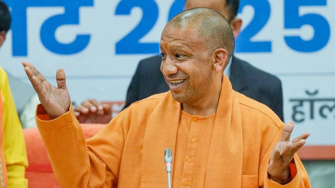 Yogi 5 7.jpg