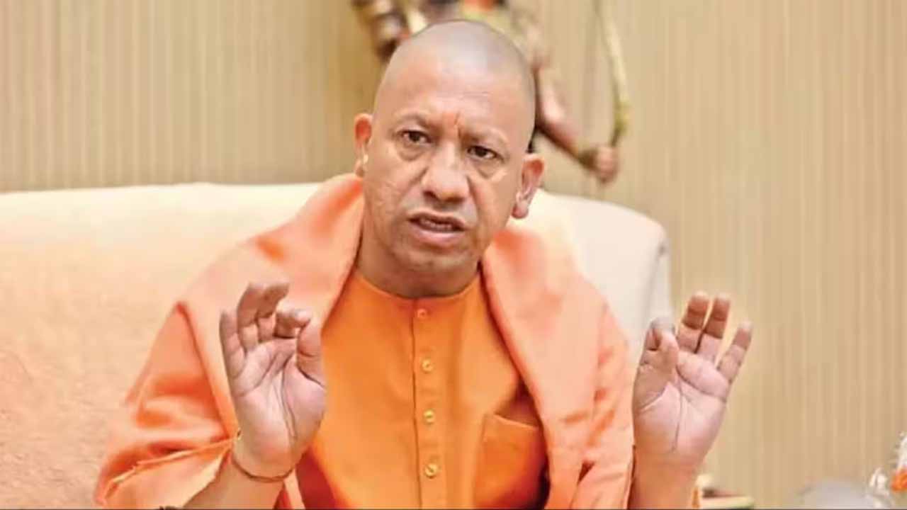 Yogi new 3.jpg
