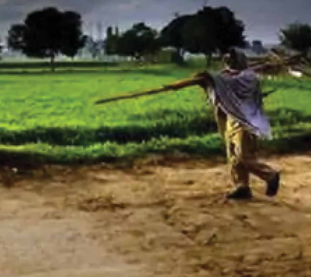 Chhattisgarh News 07 1 11.jpg