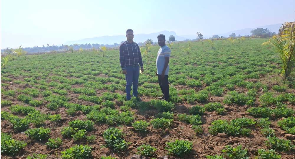 Mungfali 01.jpg
