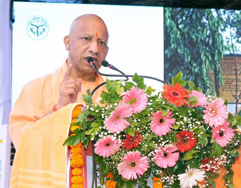 Yogi 01.jpg