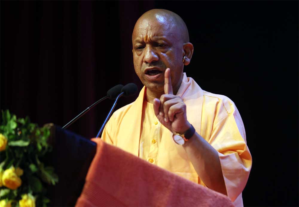 Yogi 02 1.jpg