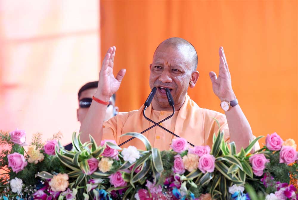 Yogi 02 21.jpg