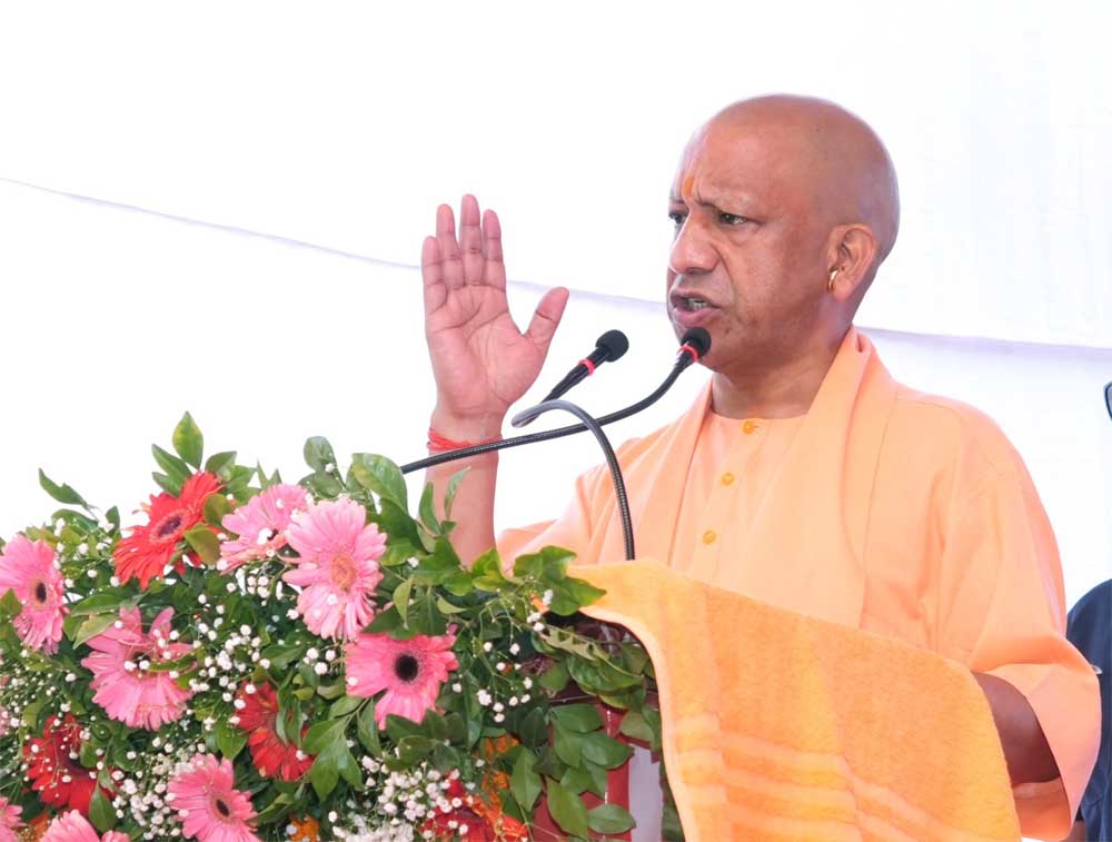 Yogi 02 5.jpg