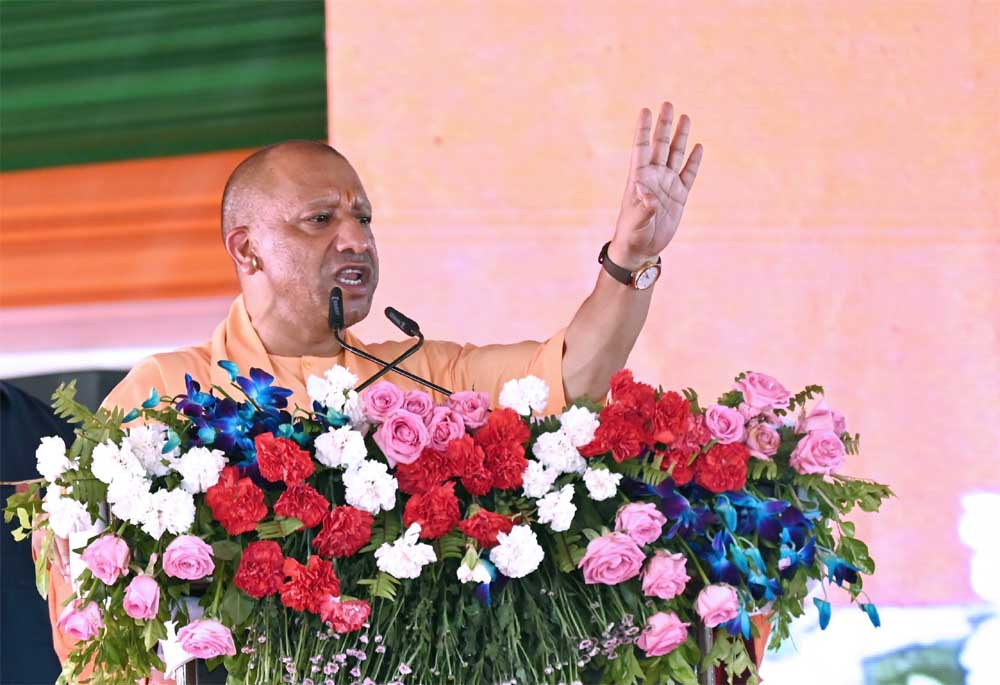 Yogi 03 15.jpg
