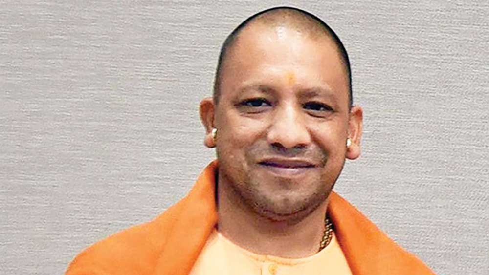 Yogi 03 4.jpg