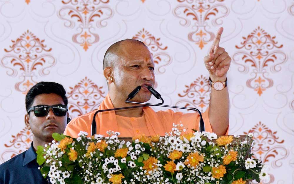 Yogi 05 9.jpg