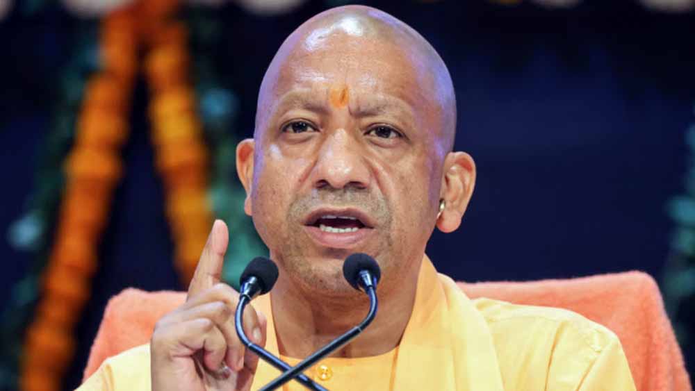 Yogi 5 1.jpg