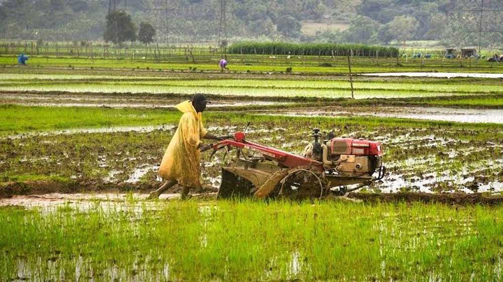 KISAN 02 2.jpg