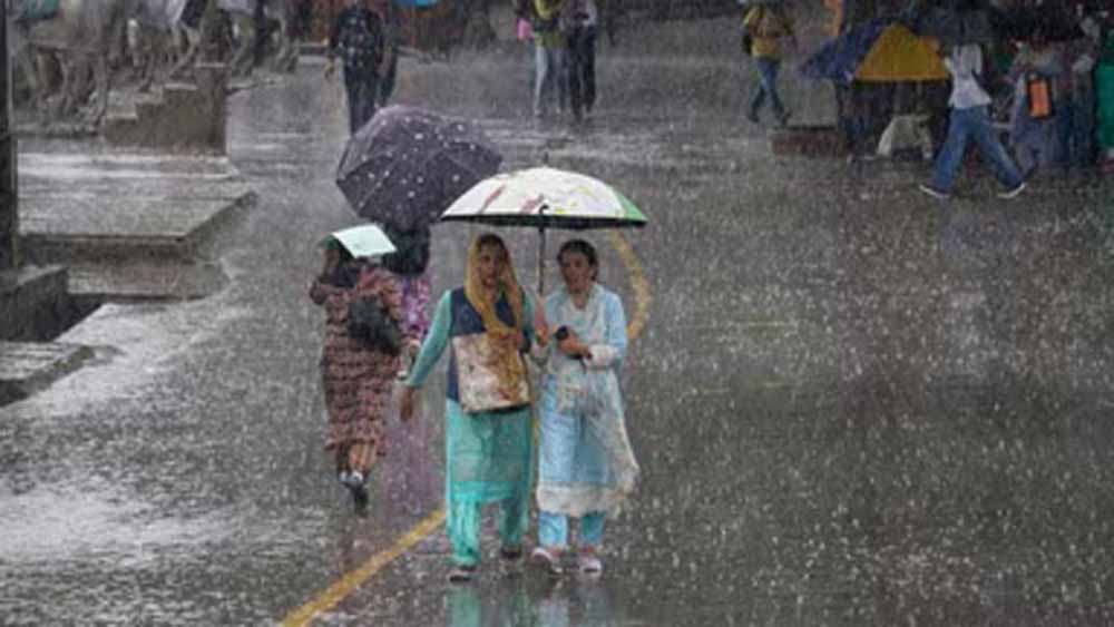Rain 3 1.jpg