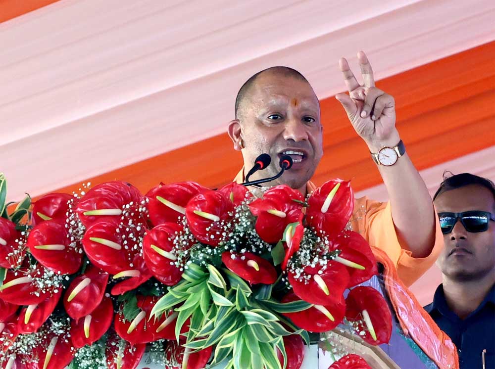 Yogi 01 34.jpg