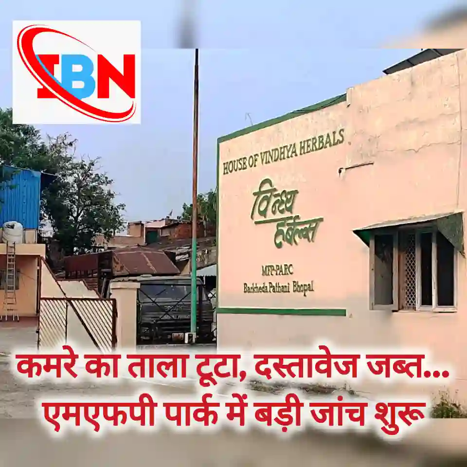 एमएफपी पार्क बरखेड़ा पठानी