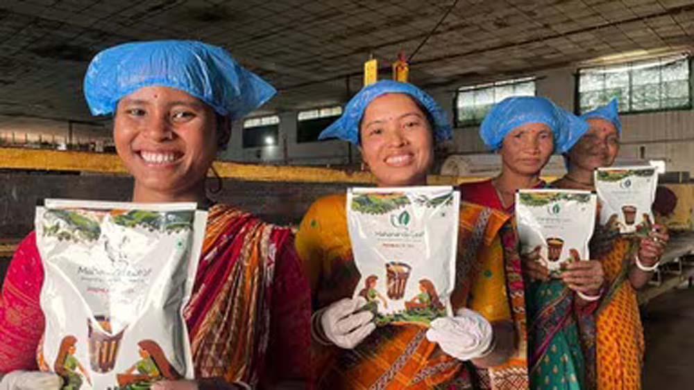 2 4.jpg