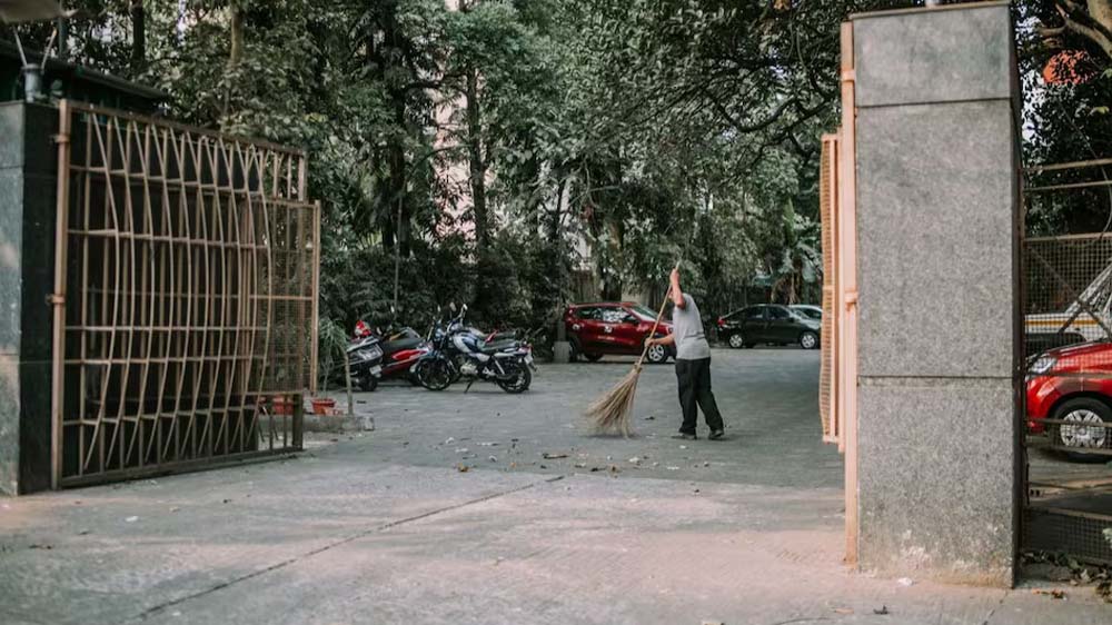 97.jpg