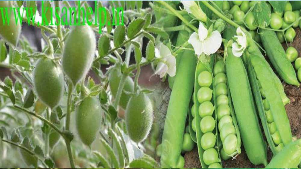 Bihar News 03 1 2.jpg