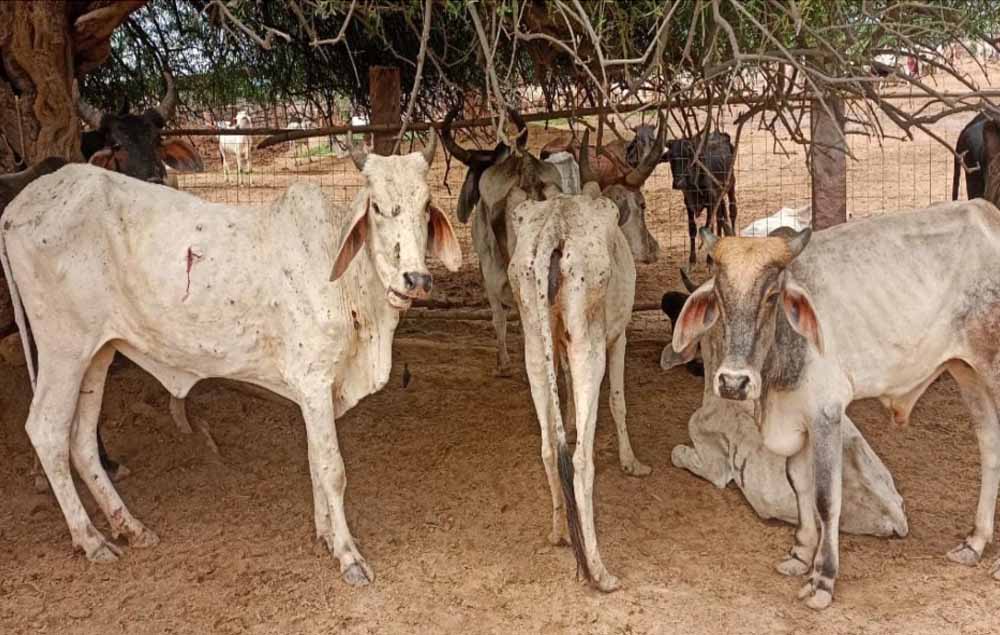 Chhattisgarh News 04 1.jpg