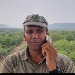 कूनो में चीते बसाने की कहानी: गेट खोलकर जंगल में छोड़ना ही काफी नहीं
