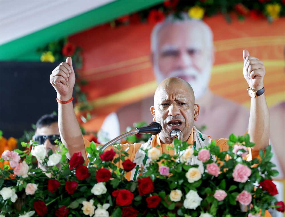 Yogi 01 1.jpg